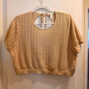 H&M Neutral Textured Knit Crop Top Open Back | Size: L